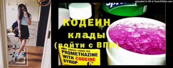 дживик Бородино